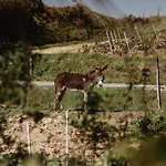 Aldapa Σπίτι διακοπών *