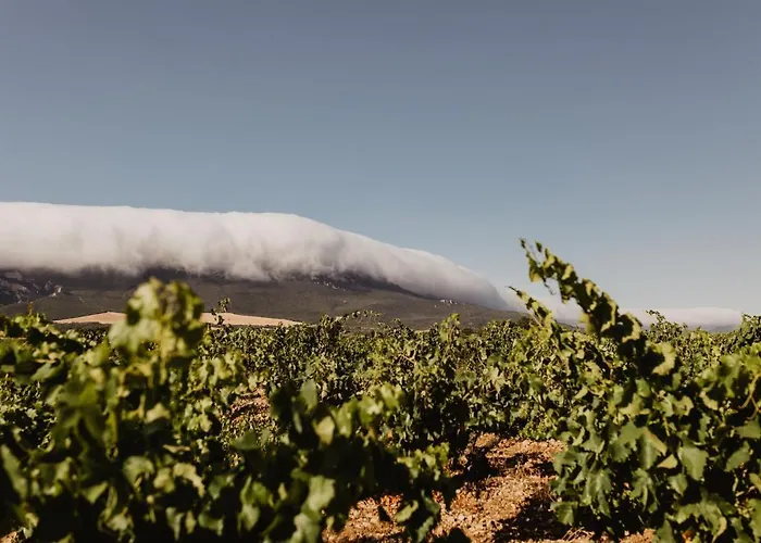 Aldapa * Лягвардиа