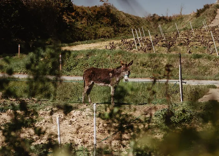 Aldapa Дом отдыха *