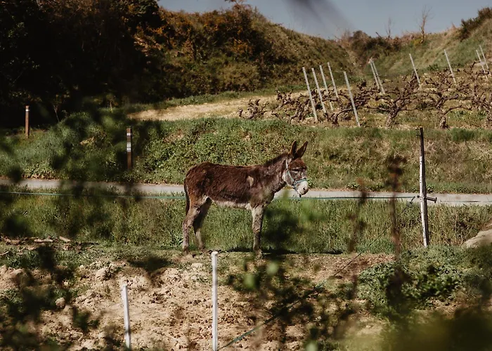 Holiday home Aldapa Laguardia